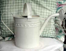 birds_tin/white_can.jpg (86390 bytes)