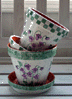 violets.jpg (86390 bytes)