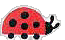 ladybug3.jpg (40238 bytes)