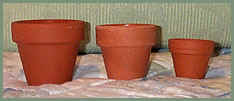 plain_tc/tiny_pot.jpg (86390 bytes)